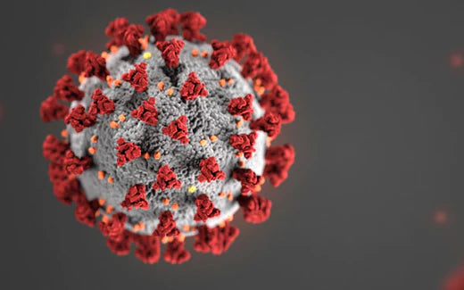 Efficacy of Steam Vapor With TANCS® Against SARS-CoV-2