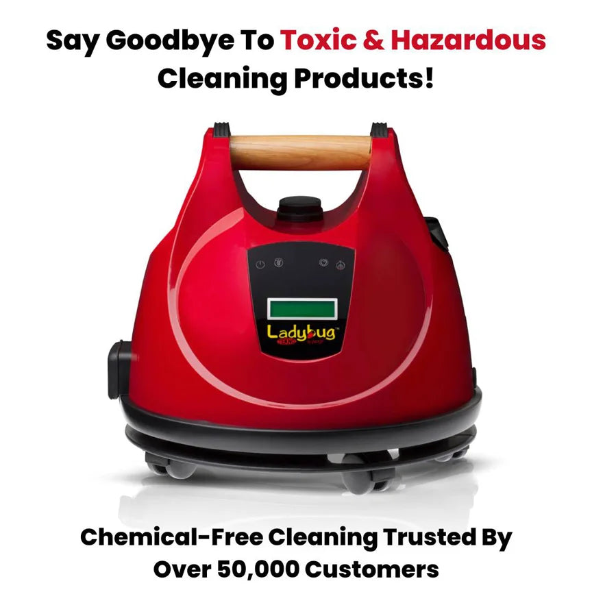 Ladybug2350 1 What Cleaning Products Do Chemical Engineers Make